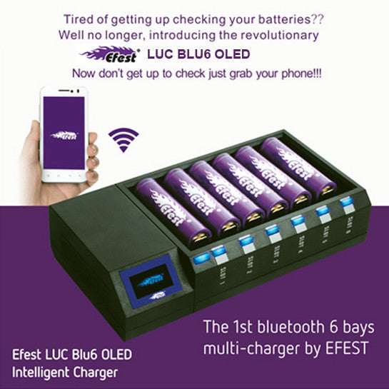 LUC BLU6 OLED Intelligent charger